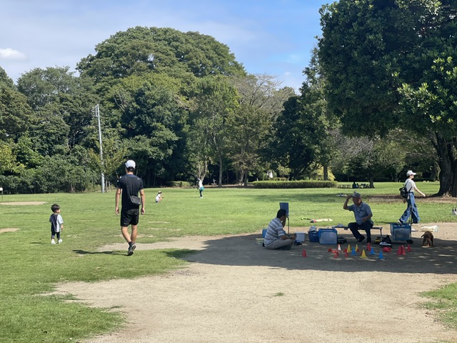秋の公園になって来ました☺️